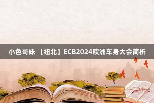 小色哥妹 【纽北】ECB2024欧洲车身大会简析