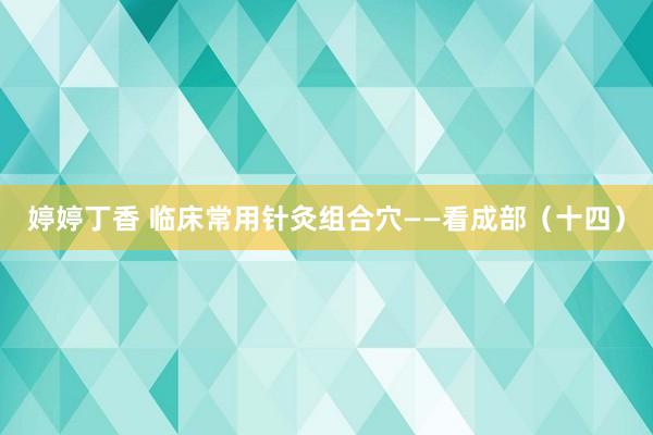 婷婷丁香 临床常用针灸组合穴——看成部（十四）