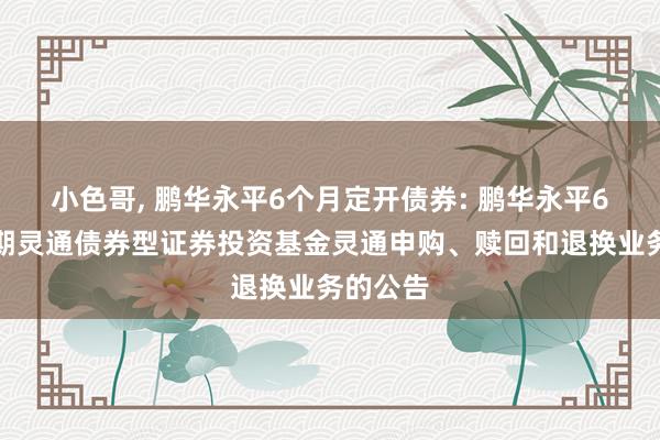 小色哥， 鹏华永平6个月定开债券: 鹏华永平6个月依期灵通债券型证券投资基金灵通申购、赎回和退换业务的公告