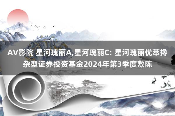 AV影院 星河瑰丽A，星河瑰丽C: 星河瑰丽优萃搀杂型证券投资基金2024年第3季度敷陈