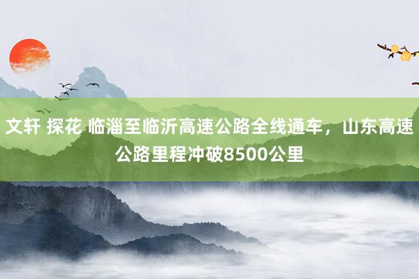 文轩 探花 临淄至临沂高速公路全线通车，山东高速公路里程冲破8500公里