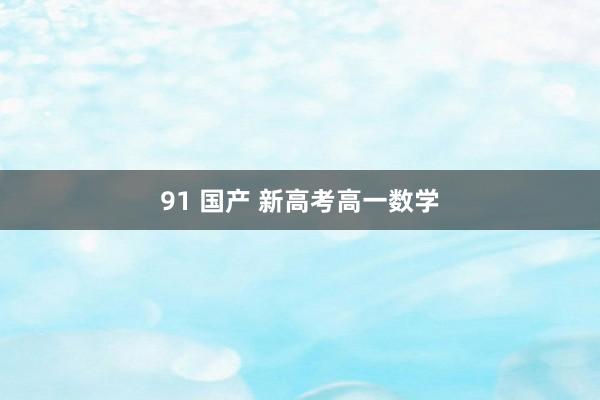 91 国产 新高考高一数学