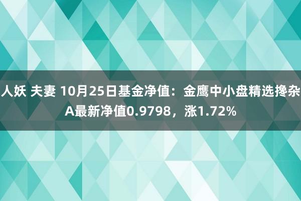 人妖 夫妻 10月25日基金净值：金鹰中小盘精选搀杂A最新净值0.9798，涨1.72%