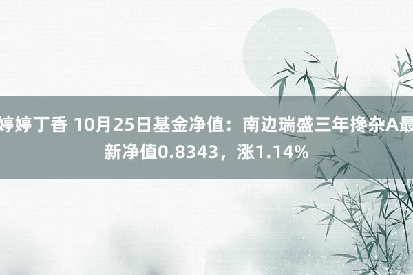 婷婷丁香 10月25日基金净值：南边瑞盛三年搀杂A最新净值0.8343，涨1.14%