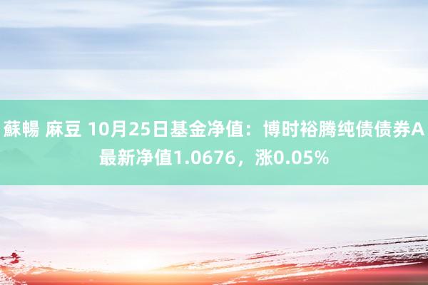 蘇暢 麻豆 10月25日基金净值：博时裕腾纯债债券A最新净值1.0676，涨0.05%