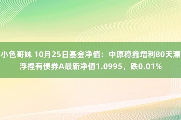 小色哥妹 10月25日基金净值：中原稳鑫增利80天漂浮捏有债券A最新净值1.0995，跌0.01%