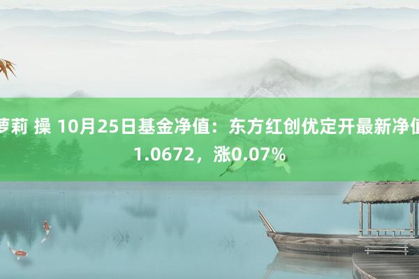 萝莉 操 10月25日基金净值：东方红创优定开最新净值1.0672，涨0.07%