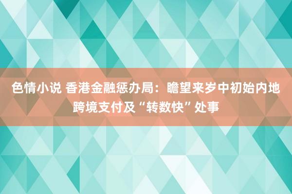 色情小说 香港金融惩办局：瞻望来岁中初始内地跨境支付及“转数快”处事