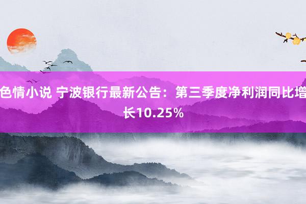 色情小说 宁波银行最新公告：第三季度净利润同比增长10.25%