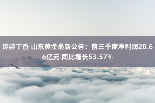 婷婷丁香 山东黄金最新公告：前三季度净利润20.66亿元 同比增长53.57%