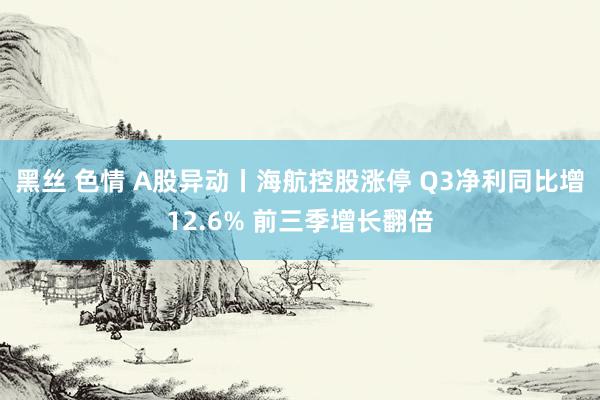 黑丝 色情 A股异动丨海航控股涨停 Q3净利同比增12.6% 前三季增长翻倍