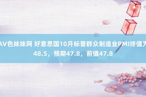 AV色妹妹网 好意思国10月标普群众制造业PMI终值为48.5，预期47.8，前值47.8