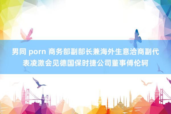 男同 porn 商务部副部长兼海外生意洽商副代表凌激会见德国保时捷公司董事傅伦轲