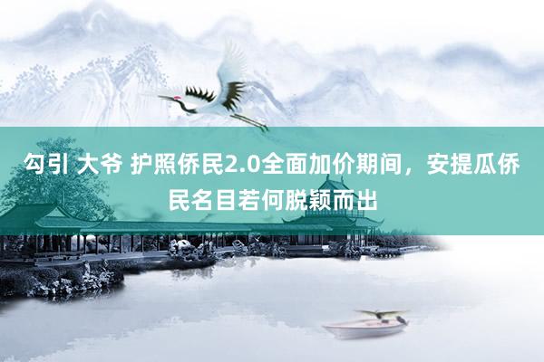 勾引 大爷 护照侨民2.0全面加价期间，安提瓜侨民名目若何脱颖而出