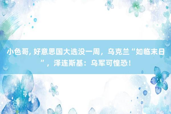 小色哥， 好意思国大选没一周，乌克兰“如临末日”，泽连斯基：乌军可惶恐！