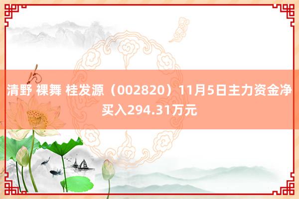 清野 裸舞 桂发源（002820）11月5日主力资金净买入294.31万元