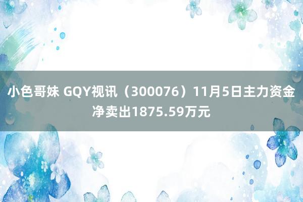 小色哥妹 GQY视讯（300076）11月5日主力资金净卖出1875.59万元