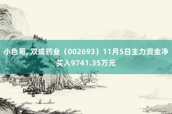 小色哥， 双成药业（002693）11月5日主力资金净买入9741.35万元