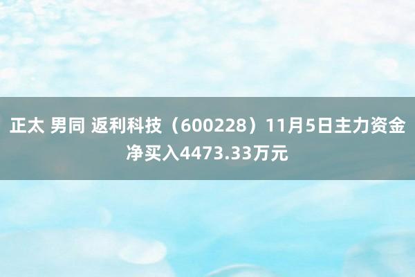 正太 男同 返利科技（600228）11月5日主力资金净买入4473.33万元