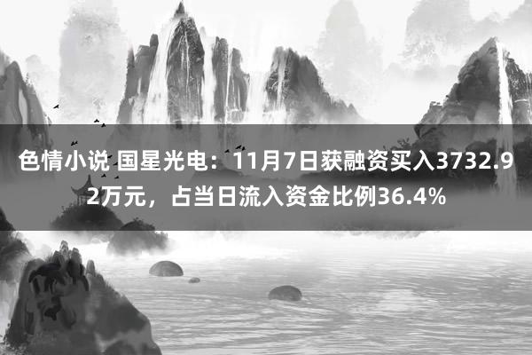 色情小说 国星光电：11月7日获融资买入3732.92万元，占当日流入资金比例36.4%