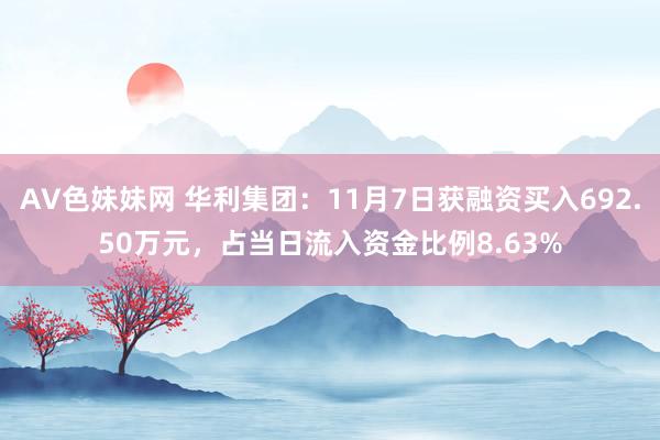 AV色妹妹网 华利集团：11月7日获融资买入692.50万元，占当日流入资金比例8.63%