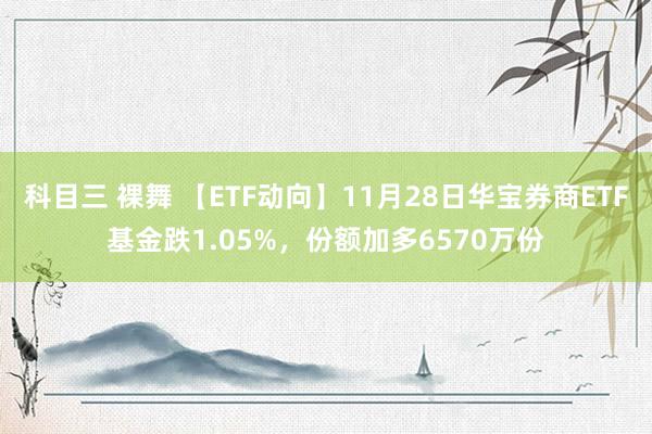 科目三 裸舞 【ETF动向】11月28日华宝券商ETF基金跌1.05%，份额加多6570万份