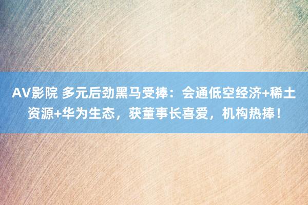 AV影院 多元后劲黑马受捧：会通低空经济+稀土资源+华为生态，获董事长喜爱，机构热捧！