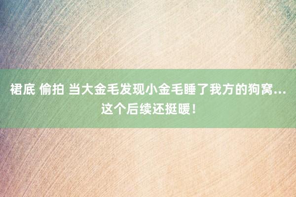 裙底 偷拍 当大金毛发现小金毛睡了我方的狗窝...这个后续还挺暖！