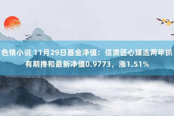 色情小说 11月29日基金净值：信澳匠心臻选两年抓有期搀和最新净值0.9773，涨1.51%