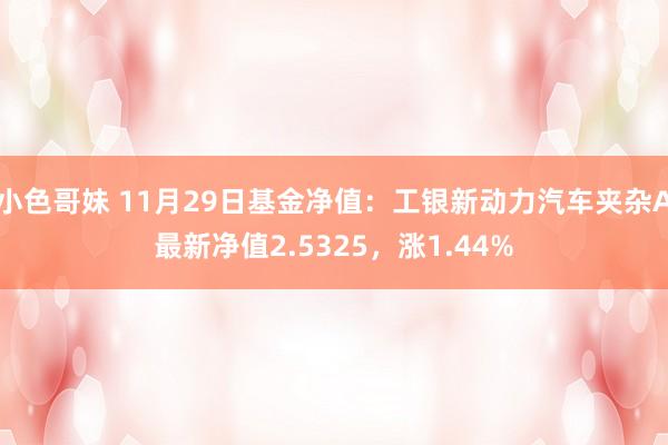 小色哥妹 11月29日基金净值：工银新动力汽车夹杂A最新净值2.5325，涨1.44%