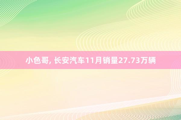 小色哥， 长安汽车11月销量27.73万辆