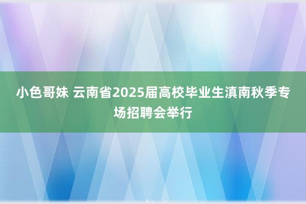 小色哥妹 云南省2025届高校毕业生滇南秋季专场招聘会举行