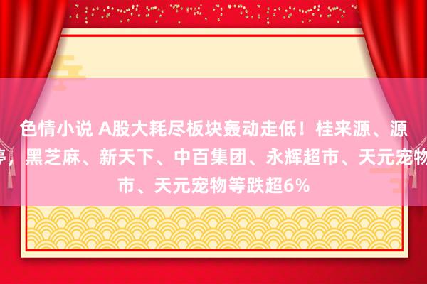 色情小说 A股大耗尽板块轰动走低！桂来源、源飞宠物跌停，黑芝麻、新天下、中百集团、永辉超市、天元宠物等跌超6%