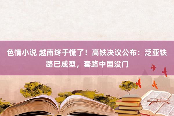 色情小说 越南终于慌了！高铁决议公布：泛亚铁路已成型，套路中国没门