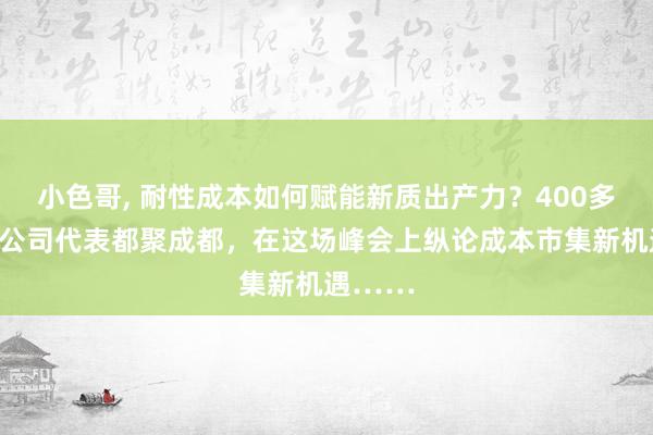 小色哥， 耐性成本如何赋能新质出产力？400多家上市公司代表都聚成都，在这场峰会上纵论成本市集新机遇……