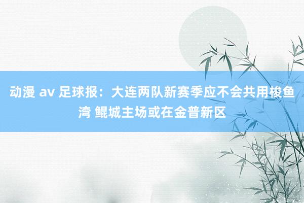 动漫 av 足球报：大连两队新赛季应不会共用梭鱼湾 鲲城主场或在金普新区