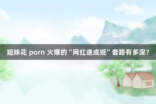 姐妹花 porn 火爆的“网红速成班”套路有多深？