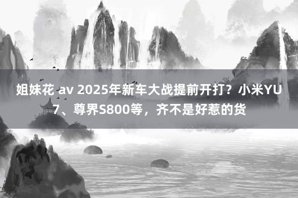 姐妹花 av 2025年新车大战提前开打？小米YU7、尊界S800等，齐不是好惹的货