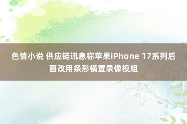 色情小说 供应链讯息称苹果iPhone 17系列后面改用条形横置录像模组