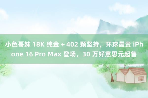 小色哥妹 18K 纯金 + 402 颗坚持，环球最贵 iPhone 16 Pro Max 登场，30 万好意思元起售