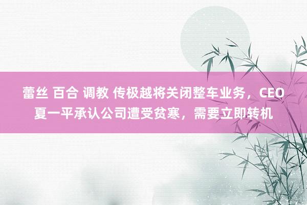 蕾丝 百合 调教 传极越将关闭整车业务，CEO夏一平承认公司遭受贫寒，需要立即转机