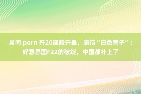 男同 porn 歼20座舱开盖，露馅“白色管子”：好意思国F22的破绽，中国都补上了