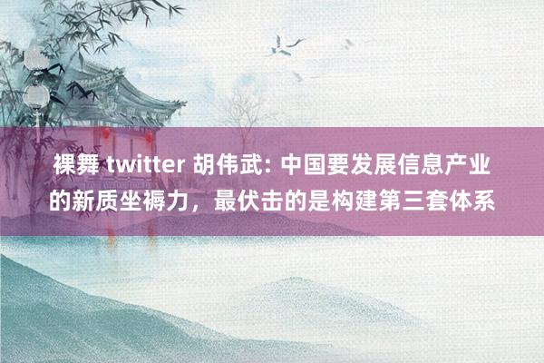 裸舞 twitter 胡伟武: 中国要发展信息产业的新质坐褥力，最伏击的是构建第三套体系