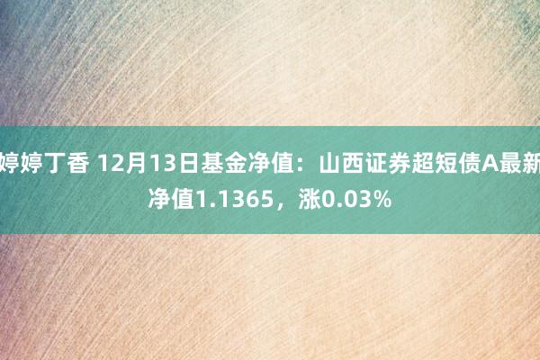 婷婷丁香 12月13日基金净值：山西证券超短债A最新净值1.1365，涨0.03%