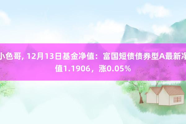 小色哥， 12月13日基金净值：富国短债债券型A最新净值1.1906，涨0.05%