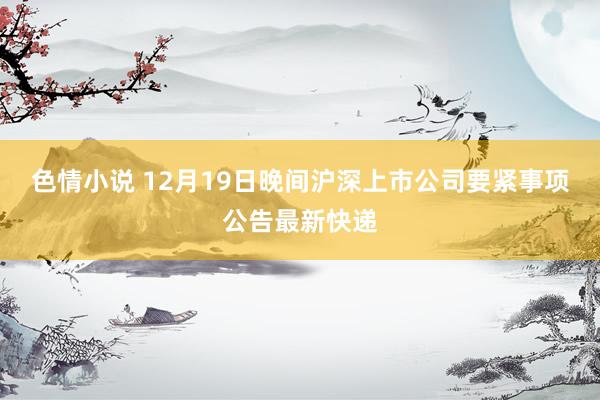 色情小说 12月19日晚间沪深上市公司要紧事项公告最新快递