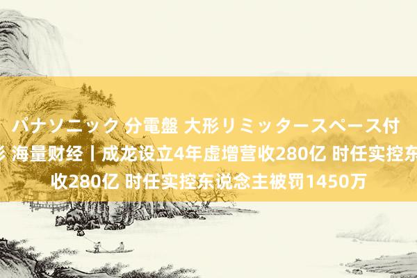 パナソニック 分電盤 大形リミッタースペース付 露出・半埋込両用形 海量财经丨成龙设立4年虚增营收280亿 时任实控东说念主被罚1450万