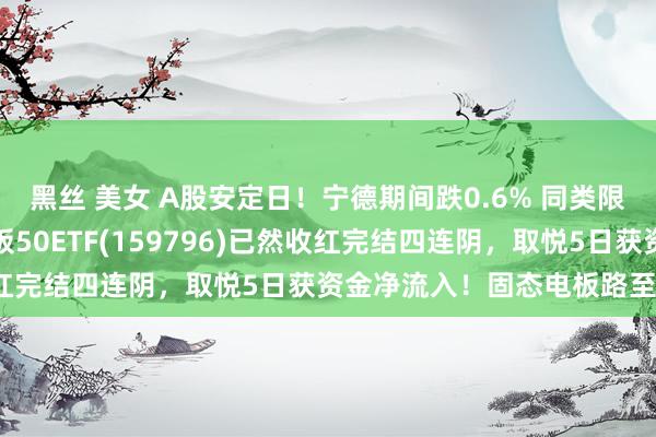 黑丝 美女 A股安定日！宁德期间跌0.6% 同类限制最大、费率最低的电板50ETF(159796)已然收红完结四连阴，取悦5日获资金净流入！固态电板路至何方？