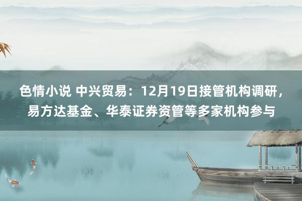 色情小说 中兴贸易：12月19日接管机构调研，易方达基金、华泰证券资管等多家机构参与