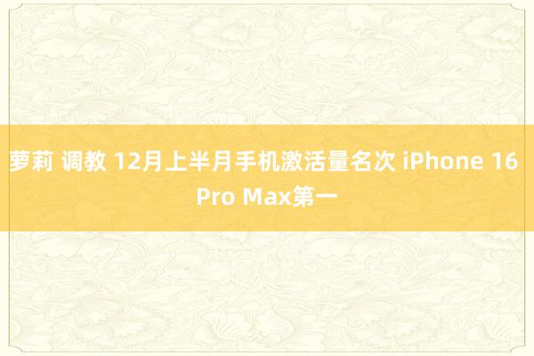 萝莉 调教 12月上半月手机激活量名次 iPhone 16 Pro Max第一